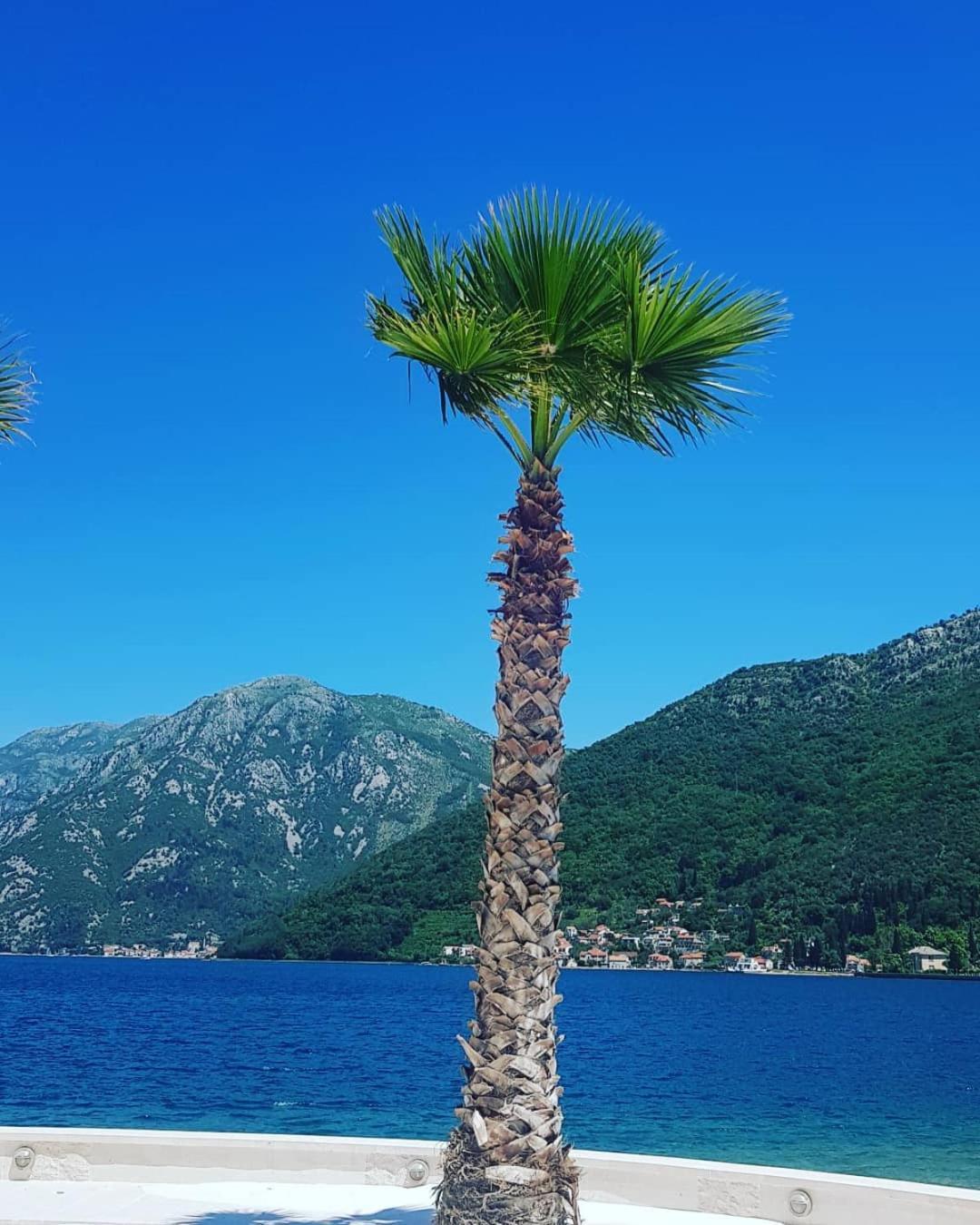 Apartman Taraca Villa Knezevic Herceg Novi Quarto foto